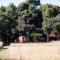 Domaine Les Perpetus photo 14