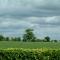 Highfield Farm