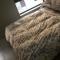 La One Rosebank Stay