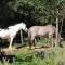 Studio Gard calme et nature photo 23