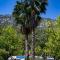 Portalimo Lodge Hotel - Adult Only +12