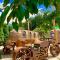 Red Rock Resort