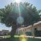 B&B Il Gelso Rooms