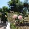 Trulli Anna
