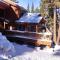 Northstar Conifer Luxury Home home - Truckee