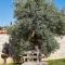Alakapi Hotel & Villas