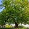 La BerryCurienne proche du zoo de Beauval Saint-Aignan