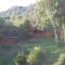 Woodland Spruce Lodge