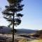 Woodland Spruce Lodge