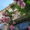 Chez Anne photo 14