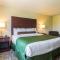 Cobblestone Hotel & Suites - Erie - Erie