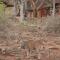Ohange Namibia Lodge