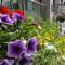 Accent Inns Kamloops