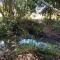 Sunshine Coast retreat your own private golf course