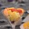 Holiday Inn Philadelphia South-Swedesboro by IHG