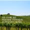 Bed & Tours Dimora di campagna - Castelnuovo Belbo