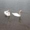 Holiday Home Kuća GORICA BLANCA