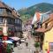 Hôtel du Haut Koenigsbourg - le hk calme et nature photo 11