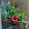 Mandevilla Home