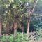 Naturforsthaus Gartenblick für tier- und naturverbundene Menschen - Preitenegg