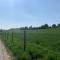Schicht am Bach