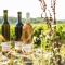 Wohnatelier im Bioweingut