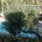B&B Eyexei Domus