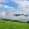 Pu Luong Ecocharm - Hương Bá Thước