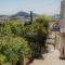 Apartments Muminovic