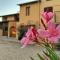 Chiaraluce Country House - Massignano