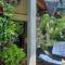 Patak Apartman, Diszel