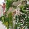 Apartmani Ines