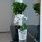 City Break Gdańsk Rajska 8 Apartamenty