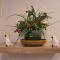Boutique Apartments Caesarea