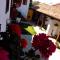 Casa Tequio
