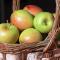 A Vacation Paradise at Quail Ridge B&B