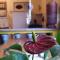 Hostel Tiradentes