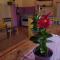 Hostel Tiradentes