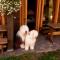 Guest House and camping Jurmala Foto: Guest House and camping Jurmala