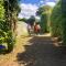 Quinta dos Sabores Farm Houses