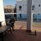 Apartamentos Arcadio