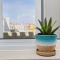 Sunrise Terrace Peniche