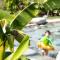 Kreuzwegerhof Nals - Historic Nature Stay with Pool near Meran & Bozen