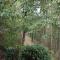 The Vianden Cottage - Charming Cottage in the Forest