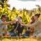 Domaine Edegger - Organic Winery Badacsony
