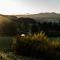 Agriturismo BioSila