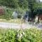 Apartament ANWAN