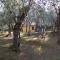 Casina Versilia