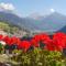 Appartamento panoramico Campitello di Fassa