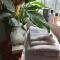 Wynberg House Bed & Breakfast Swansea